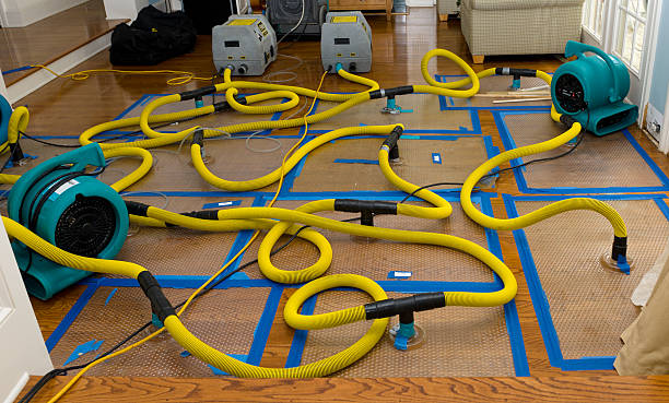 Professional Basement Flood Cleanup technician working in Newport, WA